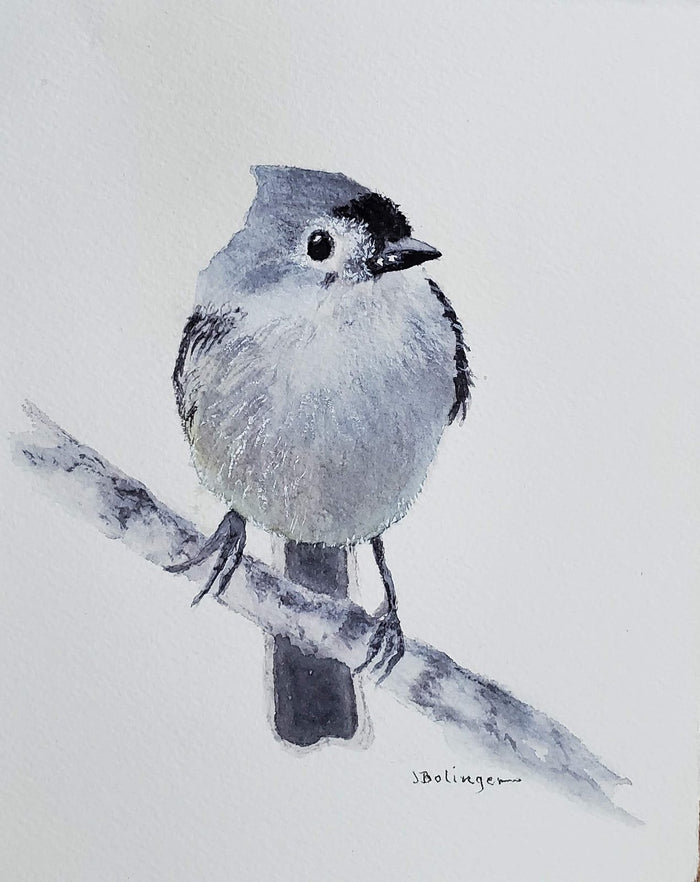 Tufted titmouse, watercolor by Judy Bolinger