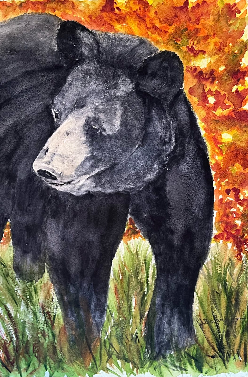 Autumn bear, watercolor by Judy Bolinger