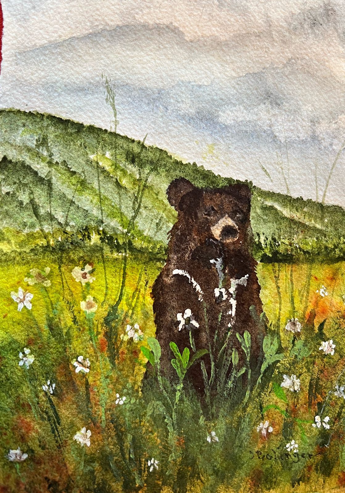 Bear in the wildflowers, watercolor by Judy Bolinger