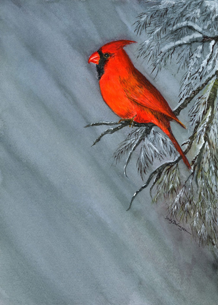 Cardinal in winter, watercolor by Judy Bolinger