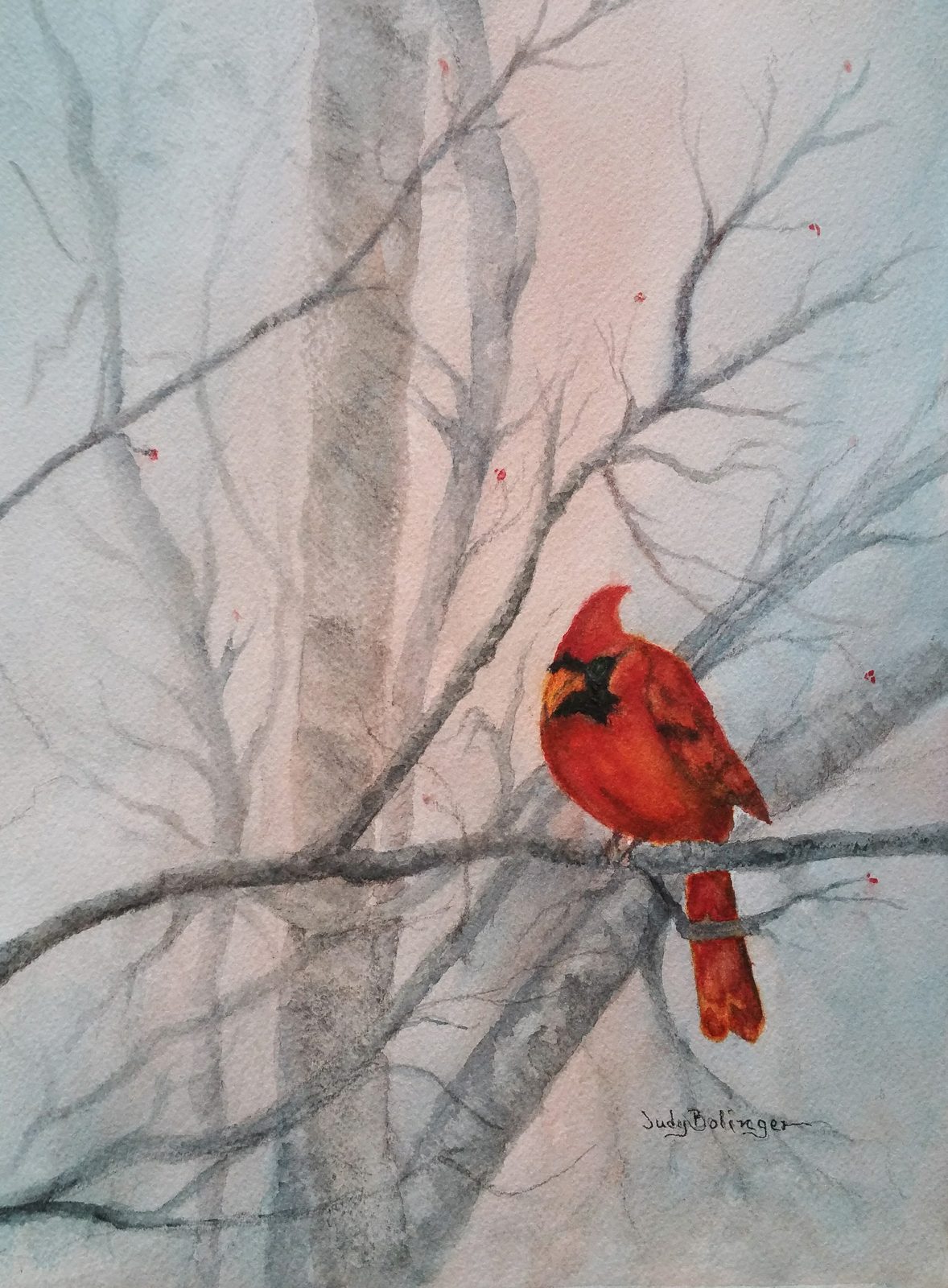 Cardinal on a branch, watercolor by Judy Bolinger