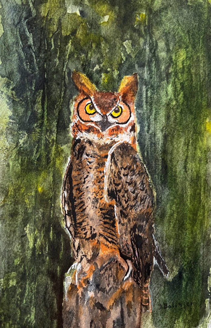 Great horned owl, watercolor by Judy Bolinger