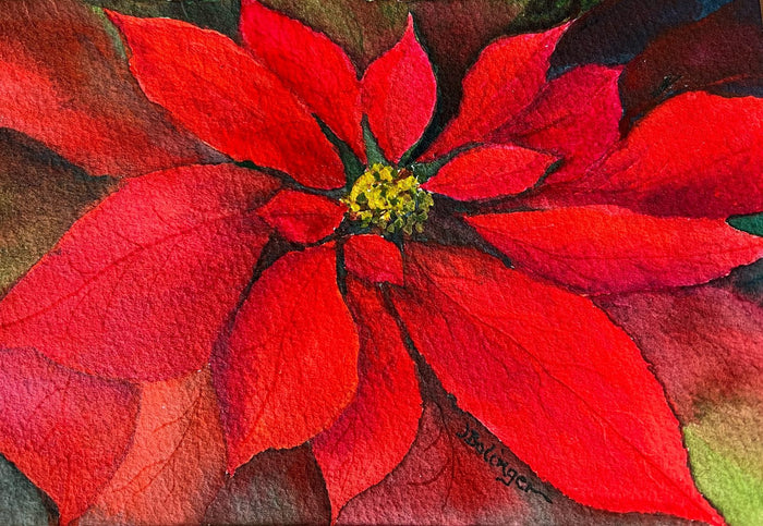 Poinsettia, watercolor by Judy Bolinger