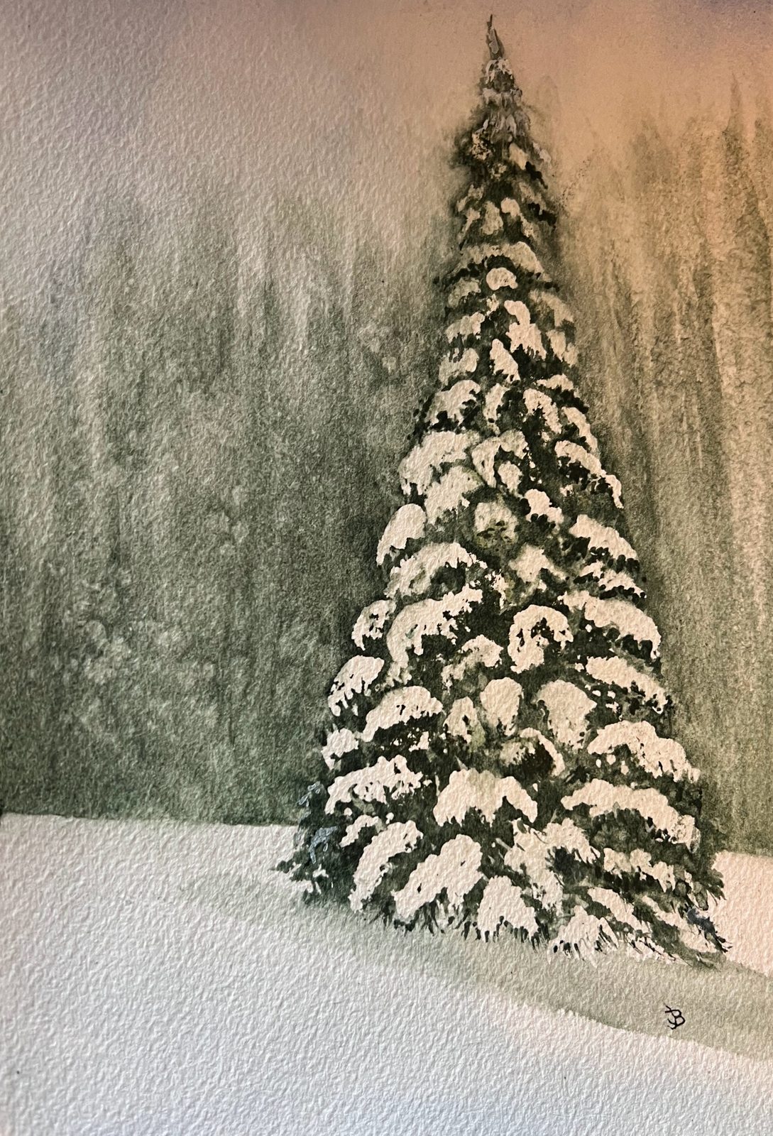 Snow-laden pine, watercolor by Judy Bolinger