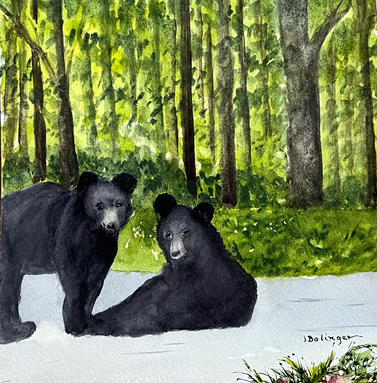 Two bears, watercolor by Judy Bolinger